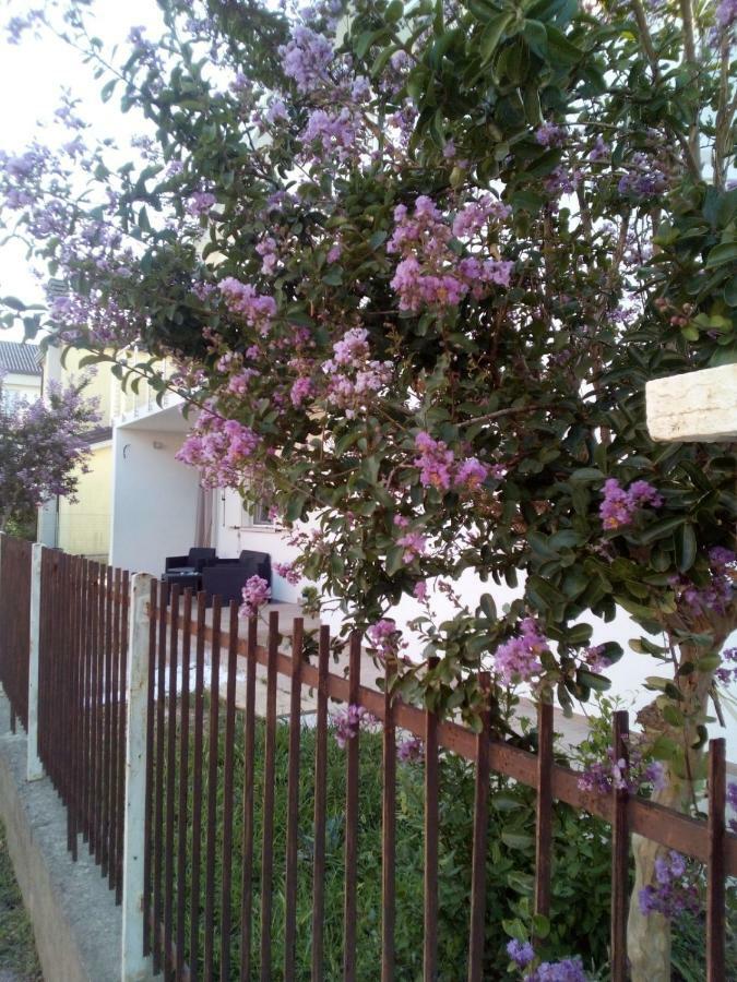 The Judas Trees เมสเตร ภายนอก รูปภาพ